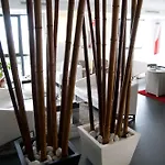 Hotel Alda Carril Vilagarcia de Arousa